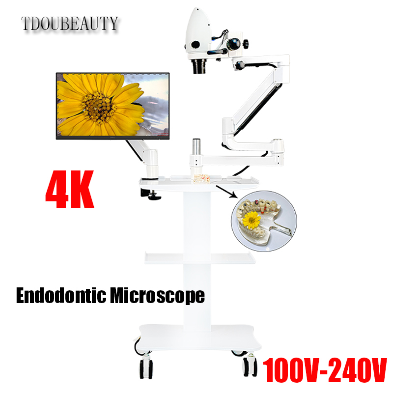 Teeth Whitening Video - 4K ทันตกรรมกล้องจุลทรรศน์อิเล็กตรอน 20 ล้านพิกเซลวิดีโอสนับสนุน Root Canal