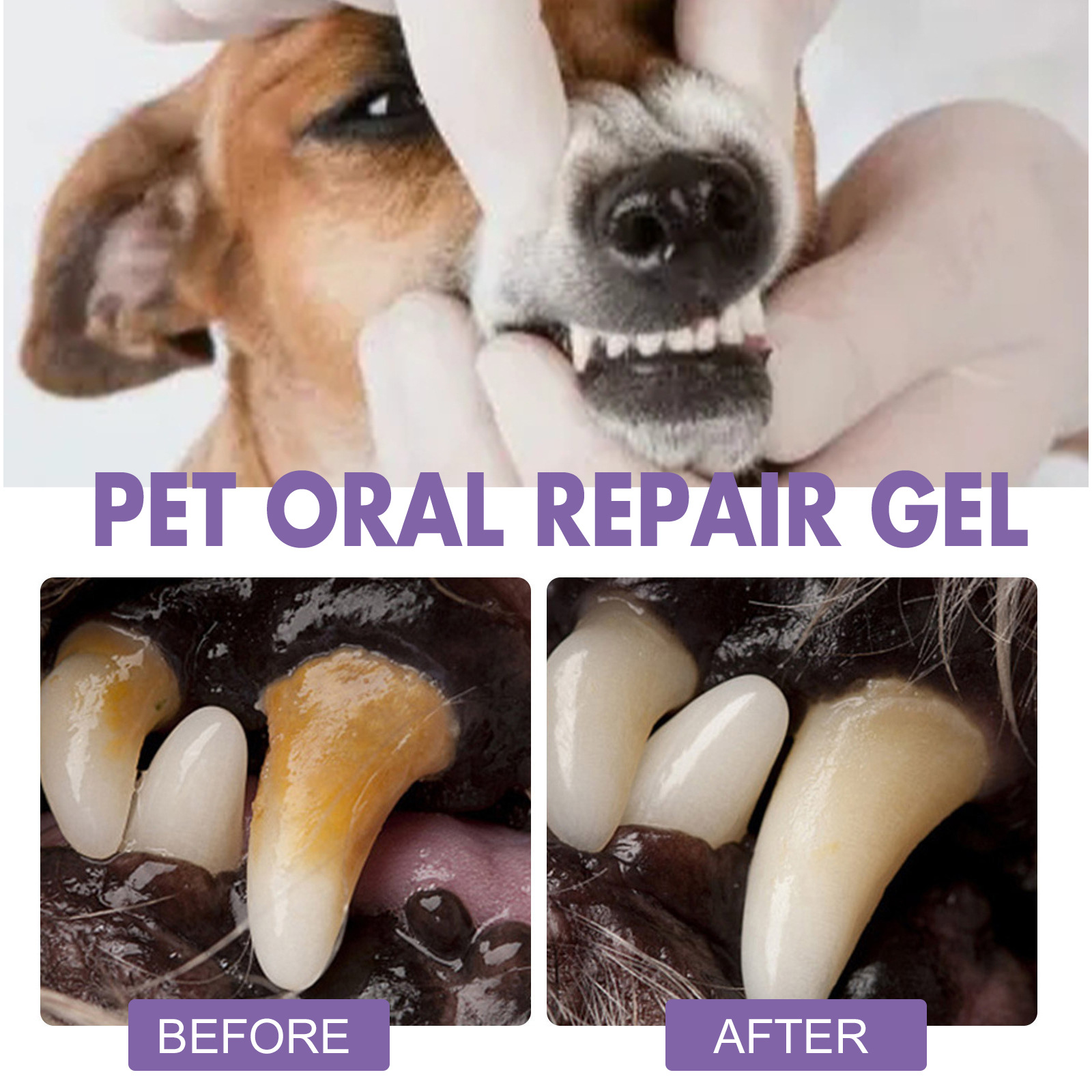 สัตว์เลี้ยง Oral Repair GEL Pu - Teeth Whitening Session บทวิจารณ์และราคา