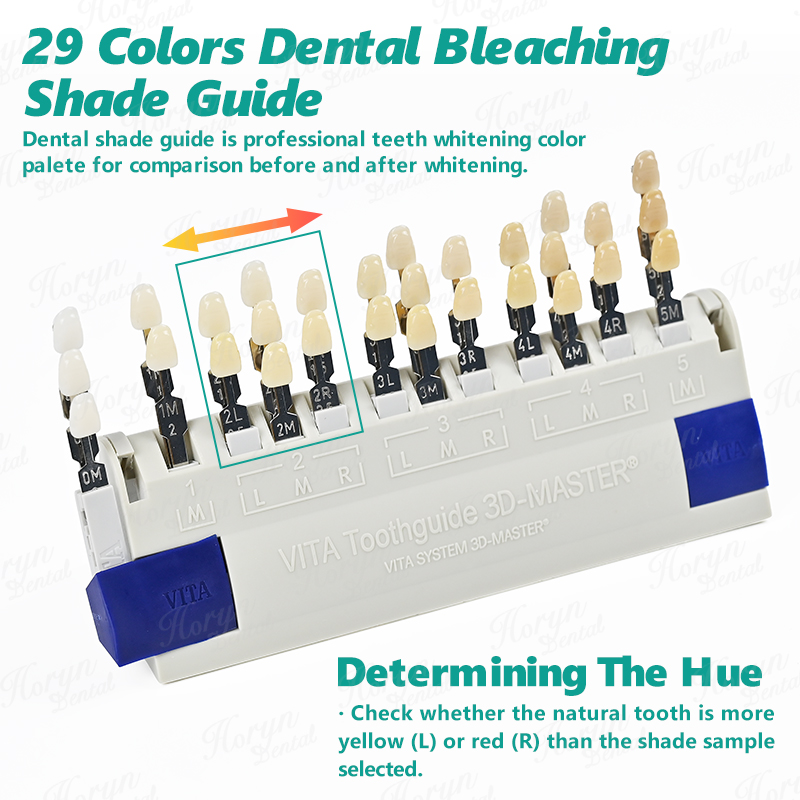แผ่นสี Vita 3D Master Dental L - Teeth Whitening Bleach บทวิจารณ์และราคา